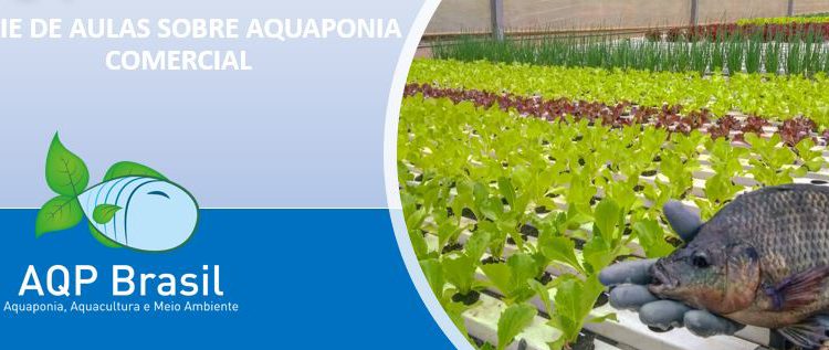 AQUAPONIA: Série de video aulas gratuitas sobre aquaponia comercial